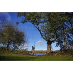 Shimano Carp Tribal TX Ultra A 12 Pies 3.50LB Intensidad -Pesca Equipos Tienda DSC03670 550x550w 1