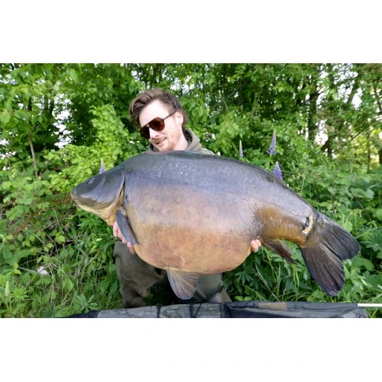 Fortis Eyewear Gafas De Sol Aviator Tortoise Shell 8 Fortis Eyewear Gafas De Sol Aviator Tortoise Shell - Imagen 8